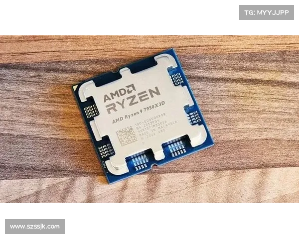 在AMD芯片中发现20年的硬件缺陷